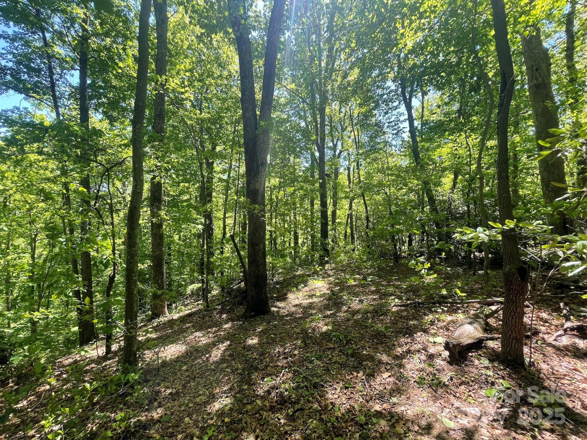 201 Ironwood Lane #T-100 - Photo 5