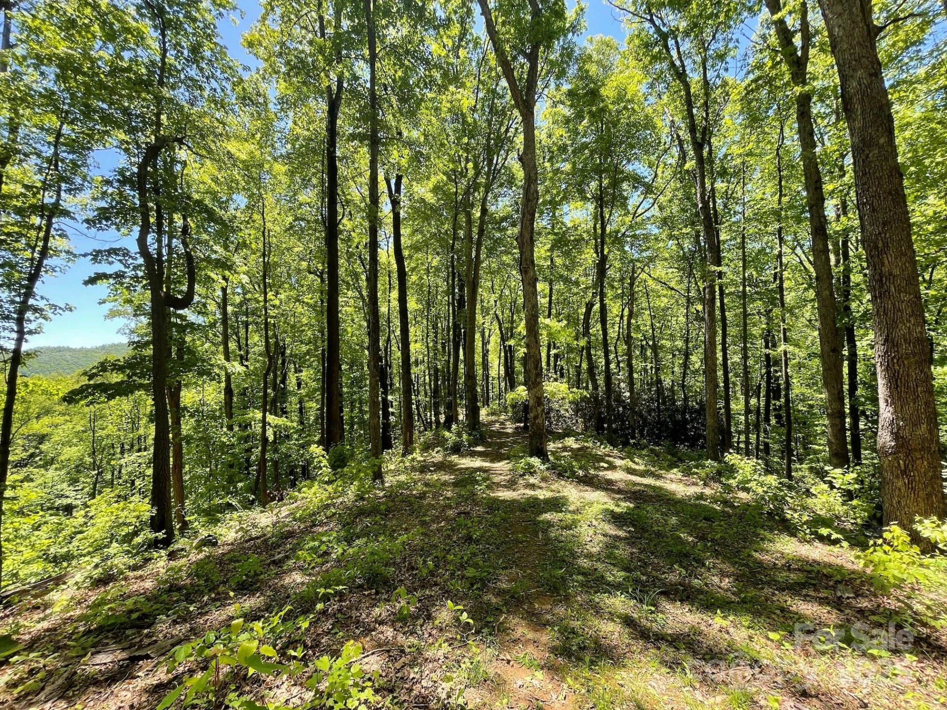 201 Ironwood Lane #T-100 - Photo 42