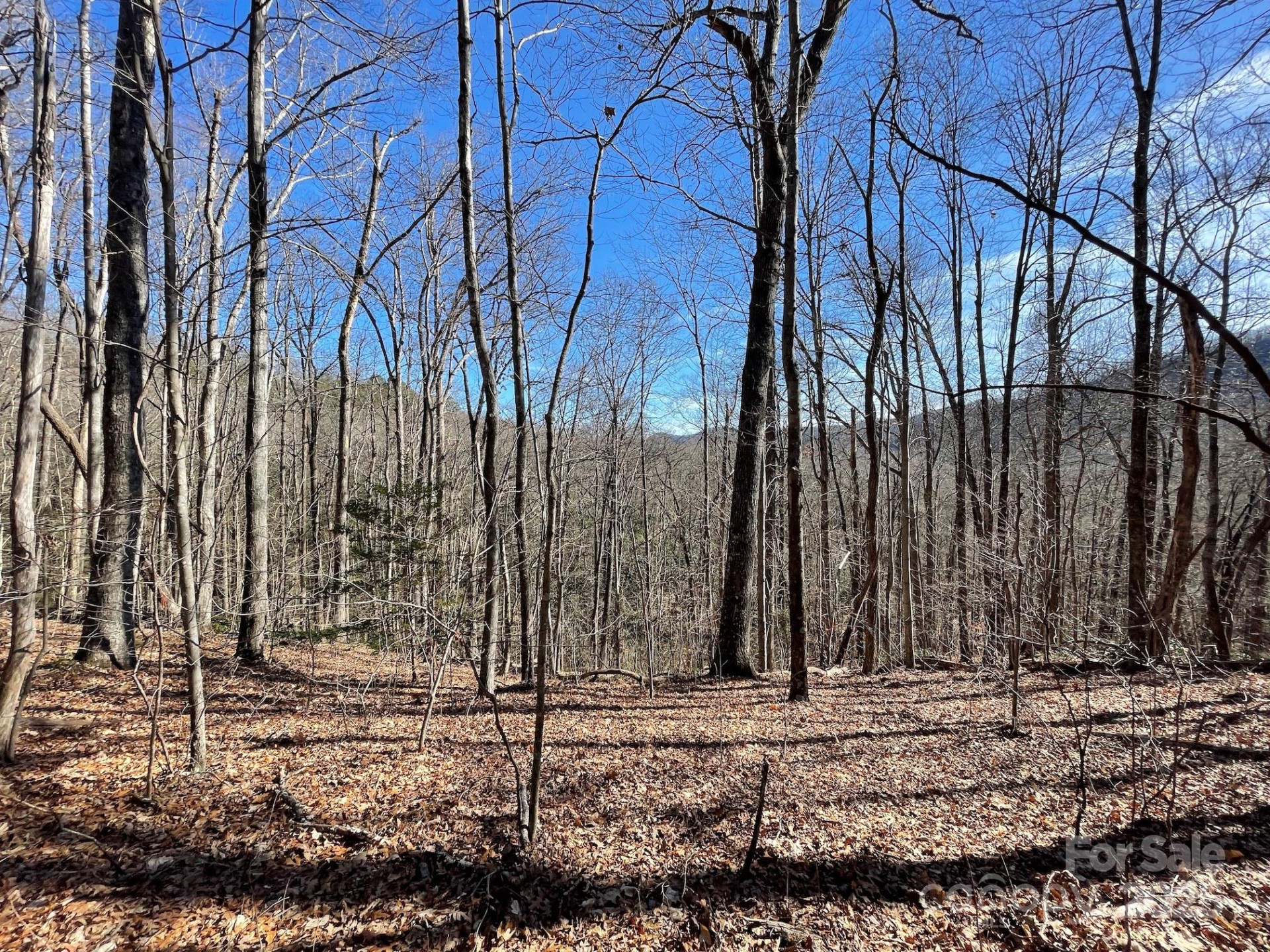 201 Ironwood Lane #T-100 - Photo 44