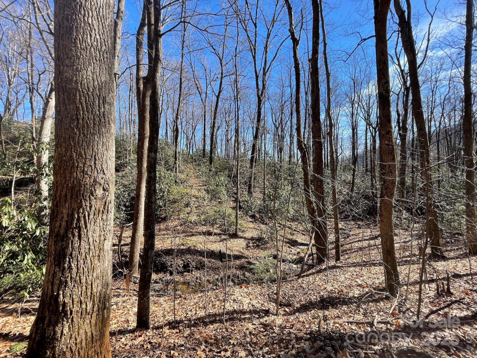 201 Ironwood Lane #T-100 - Photo 46