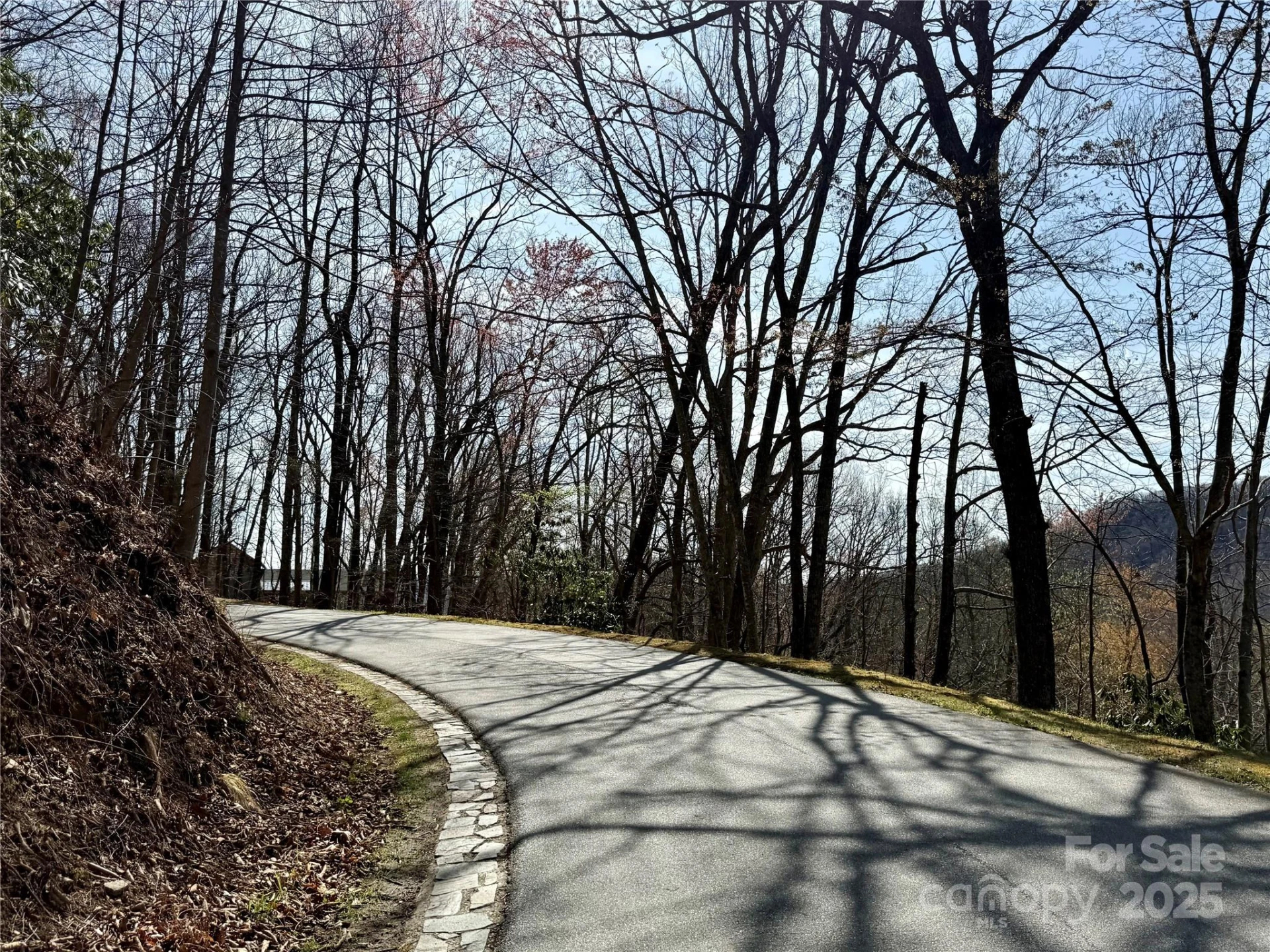 201 Ironwood Lane #T-100 - Photo 10