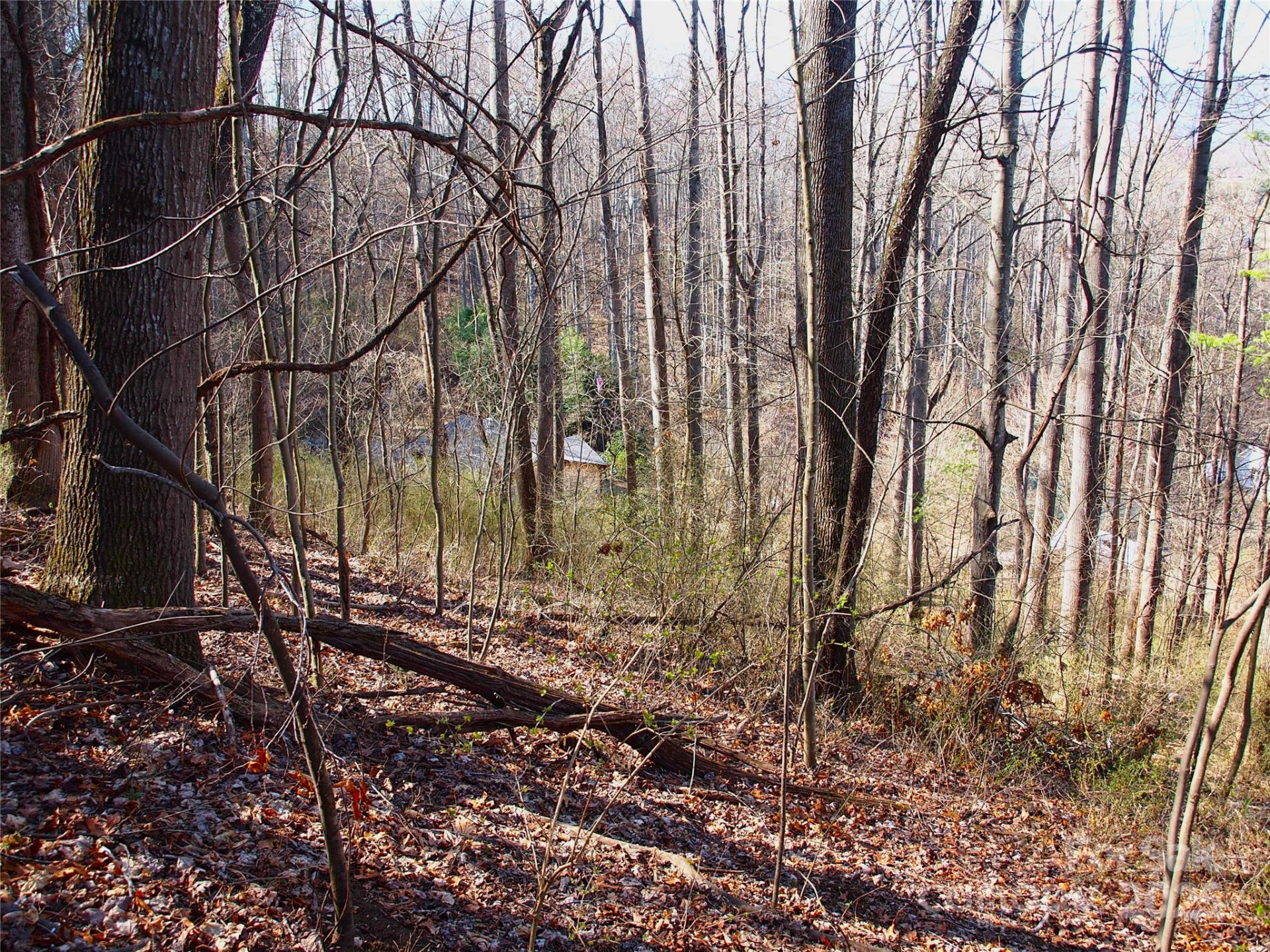 00 Bob Wood Drive - Photo 11