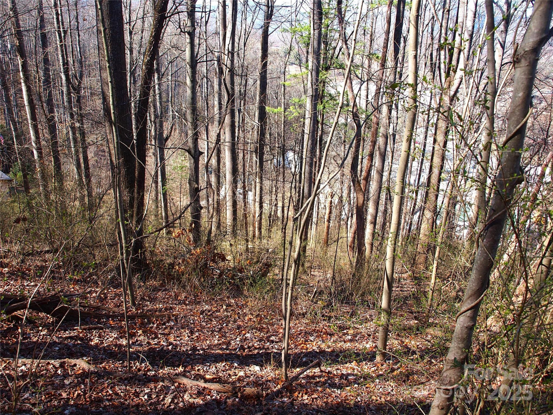 00 Bob Wood Drive - Photo 12