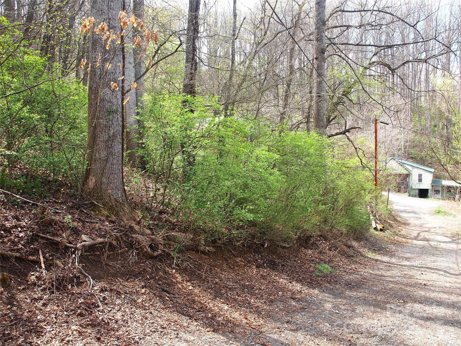 00 Bob Wood Drive - Photo 13