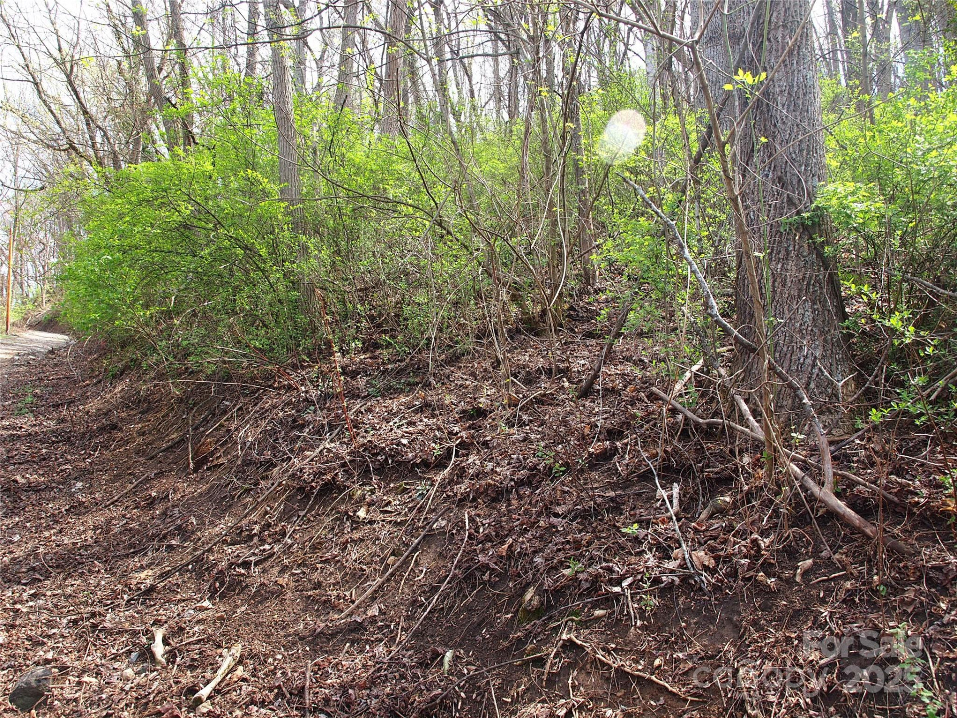 00 Bob Wood Drive - Photo 14