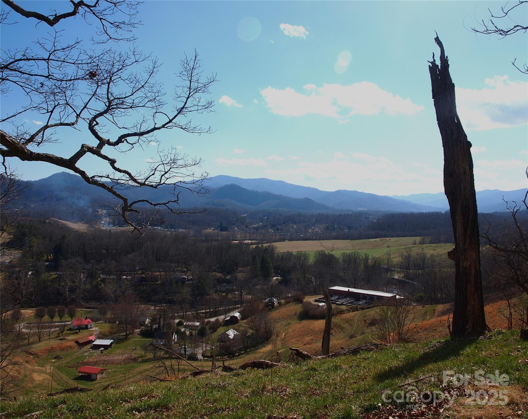 00 Bob Wood Drive - Photo 9