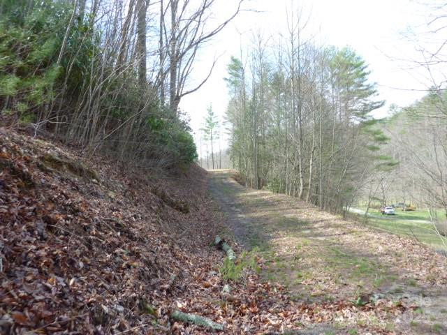 tbd Joe tweed Road - Photo 11