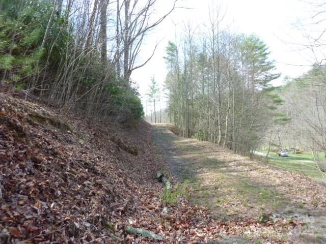 tbd Joe tweed Road - Photo 11