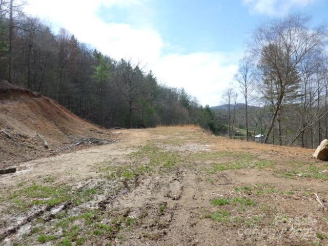 tbd Joe tweed Road - Photo 12