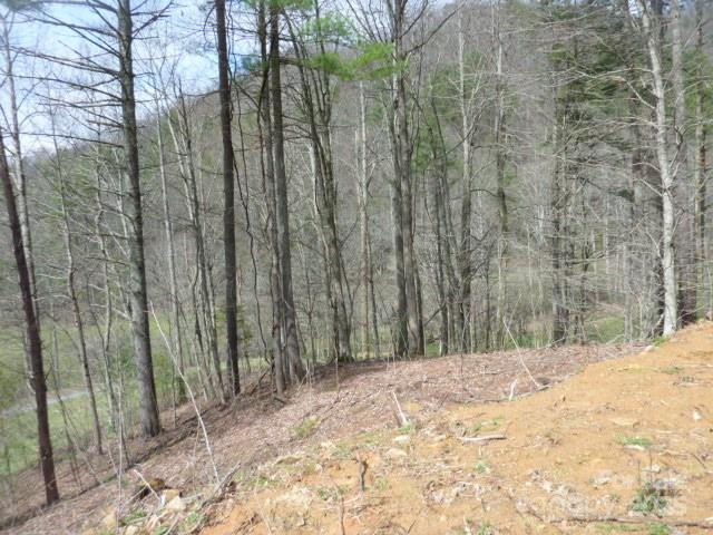 tbd Joe tweed Road - Photo 13