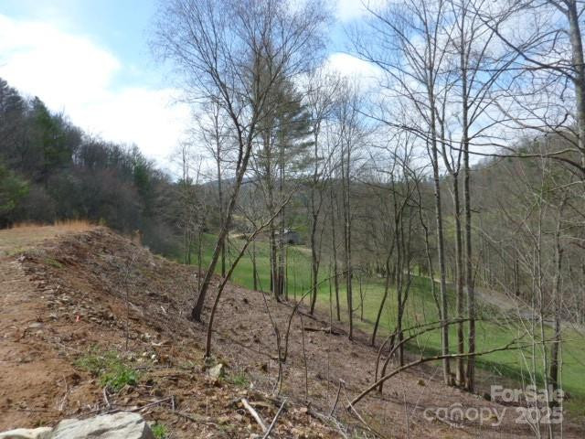 tbd Joe tweed Road - Photo 14