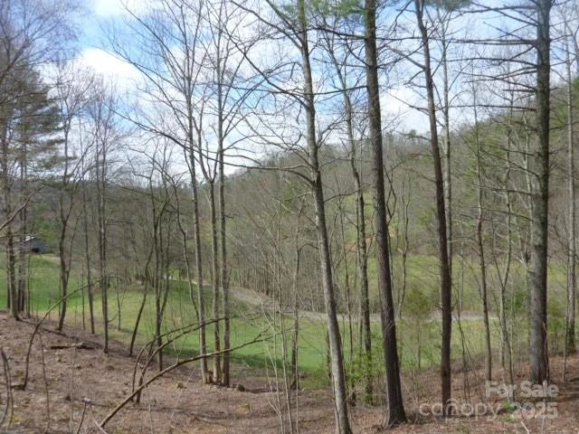 tbd Joe tweed Road - Photo 15