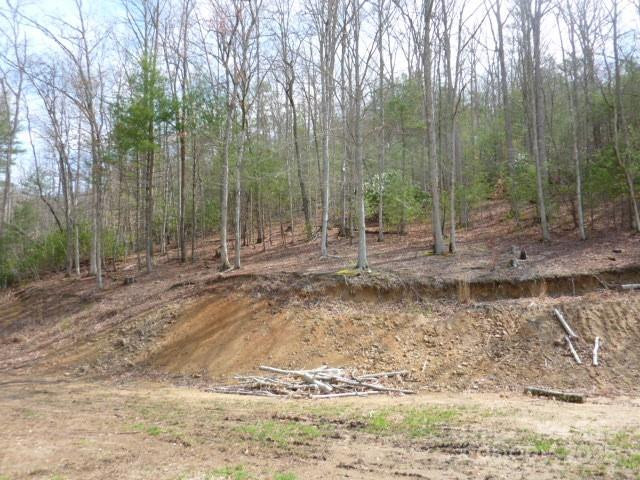 tbd Joe tweed Road - Photo 16