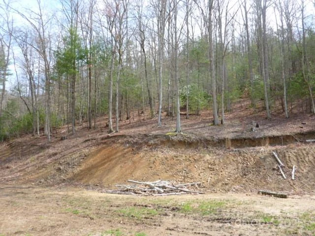tbd Joe tweed Road - Photo 16