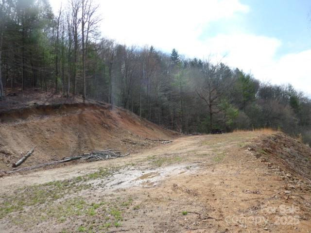 tbd Joe tweed Road - Photo 17