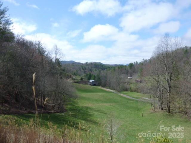 tbd Joe tweed Road - Photo 18