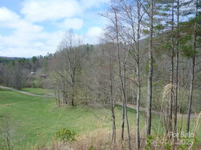 tbd Joe tweed Road - Photo 19