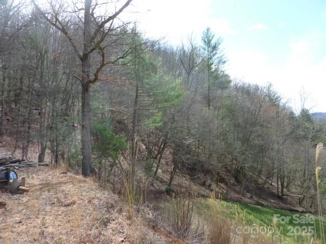 tbd Joe tweed Road - Photo 20