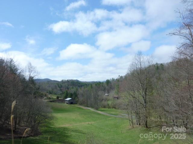 tbd Joe tweed Road - Photo 21