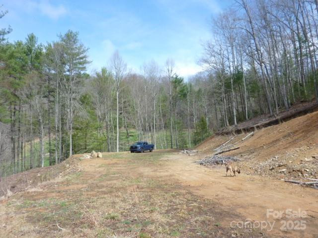 tbd Joe tweed Road - Photo 22