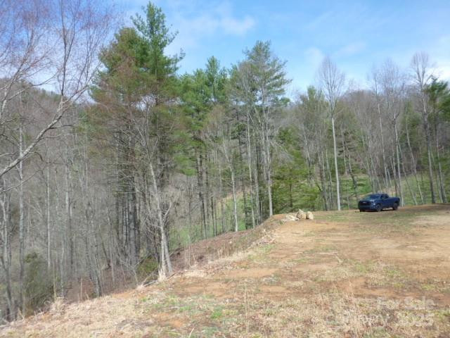 tbd Joe tweed Road - Photo 23