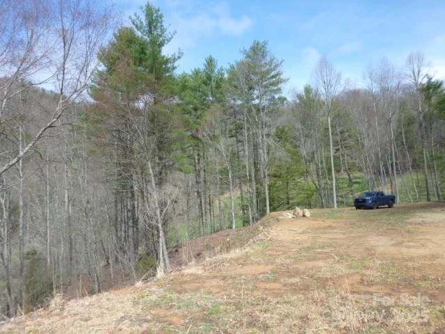 tbd Joe tweed Road - Photo 23