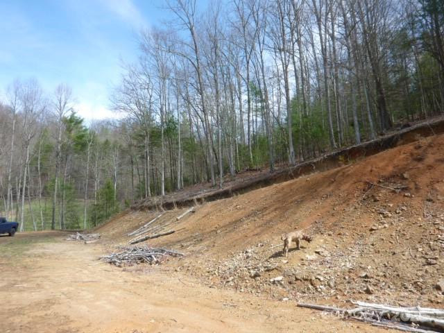 tbd Joe tweed Road - Photo 24