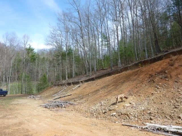 tbd Joe tweed Road - Photo 24