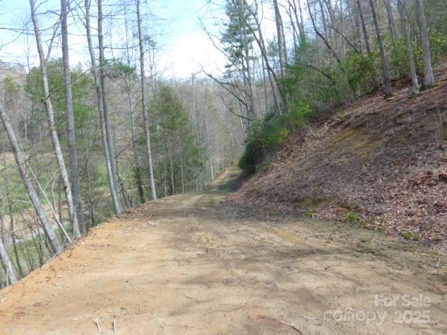 tbd Joe tweed Road - Photo 25