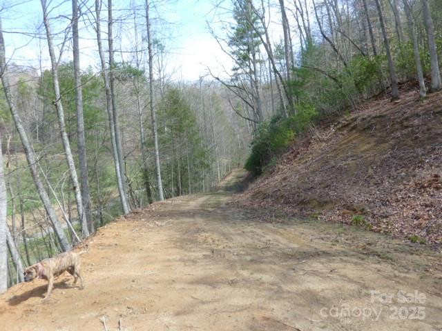 tbd Joe tweed Road - Photo 26