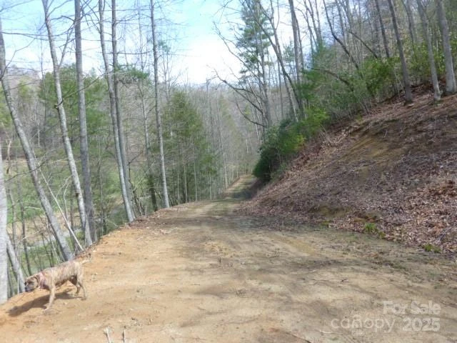 tbd Joe tweed Road - Photo 26
