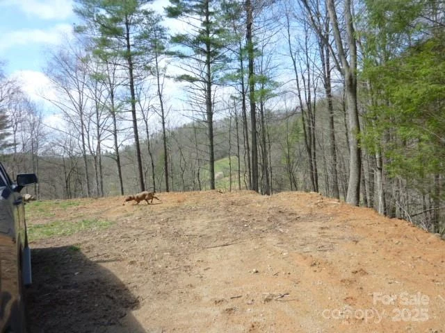 tbd Joe tweed Road - Photo 27