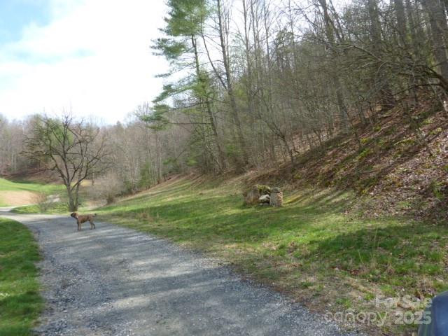 tbd Joe tweed Road - Photo 5