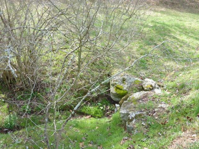 tbd Joe tweed Road - Photo 7