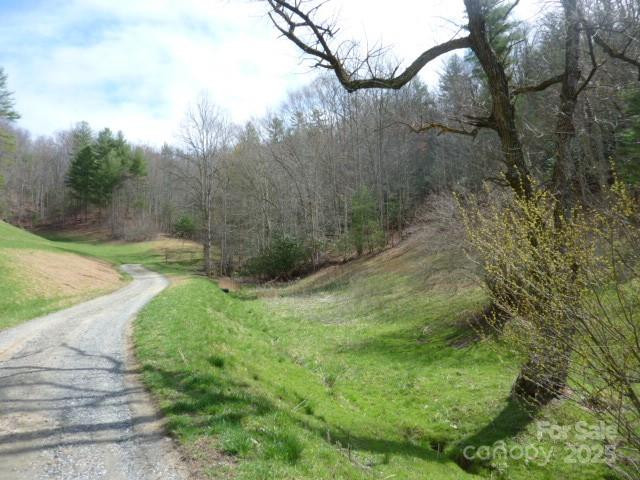 tbd Joe tweed Road - Photo 8