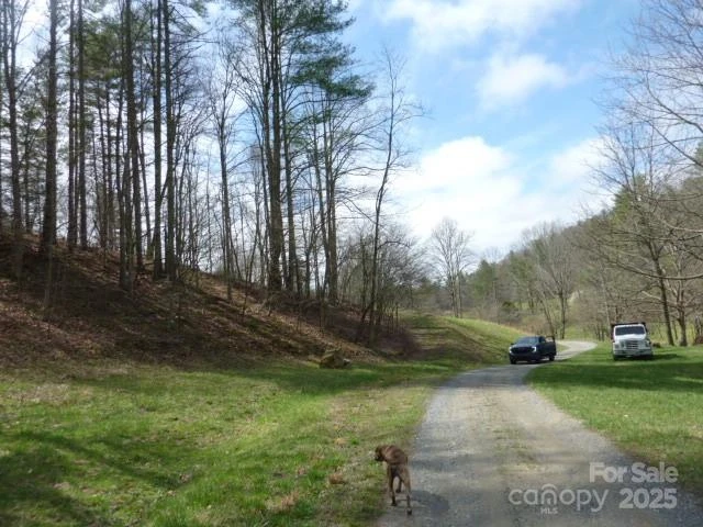 tbd Joe tweed Road - Photo 9