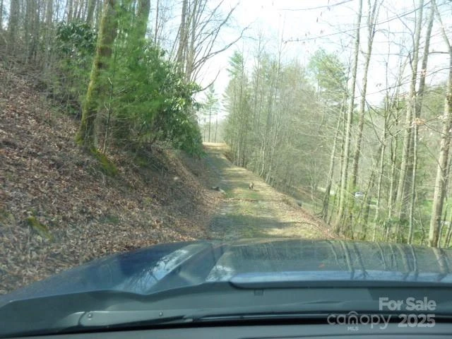 tbd Joe tweed Road - Photo 10