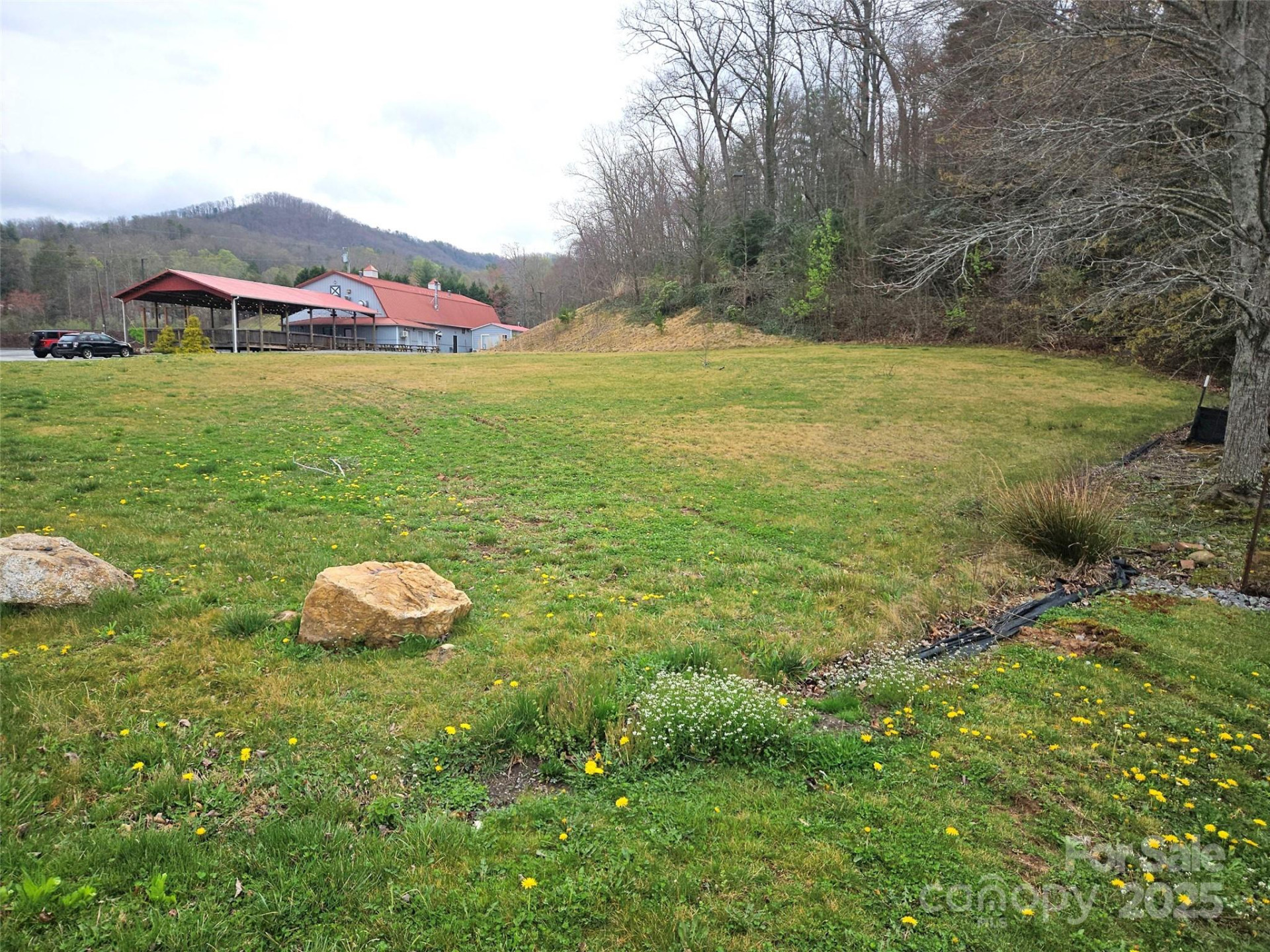 701 NC 9 Highway - Photo 3
