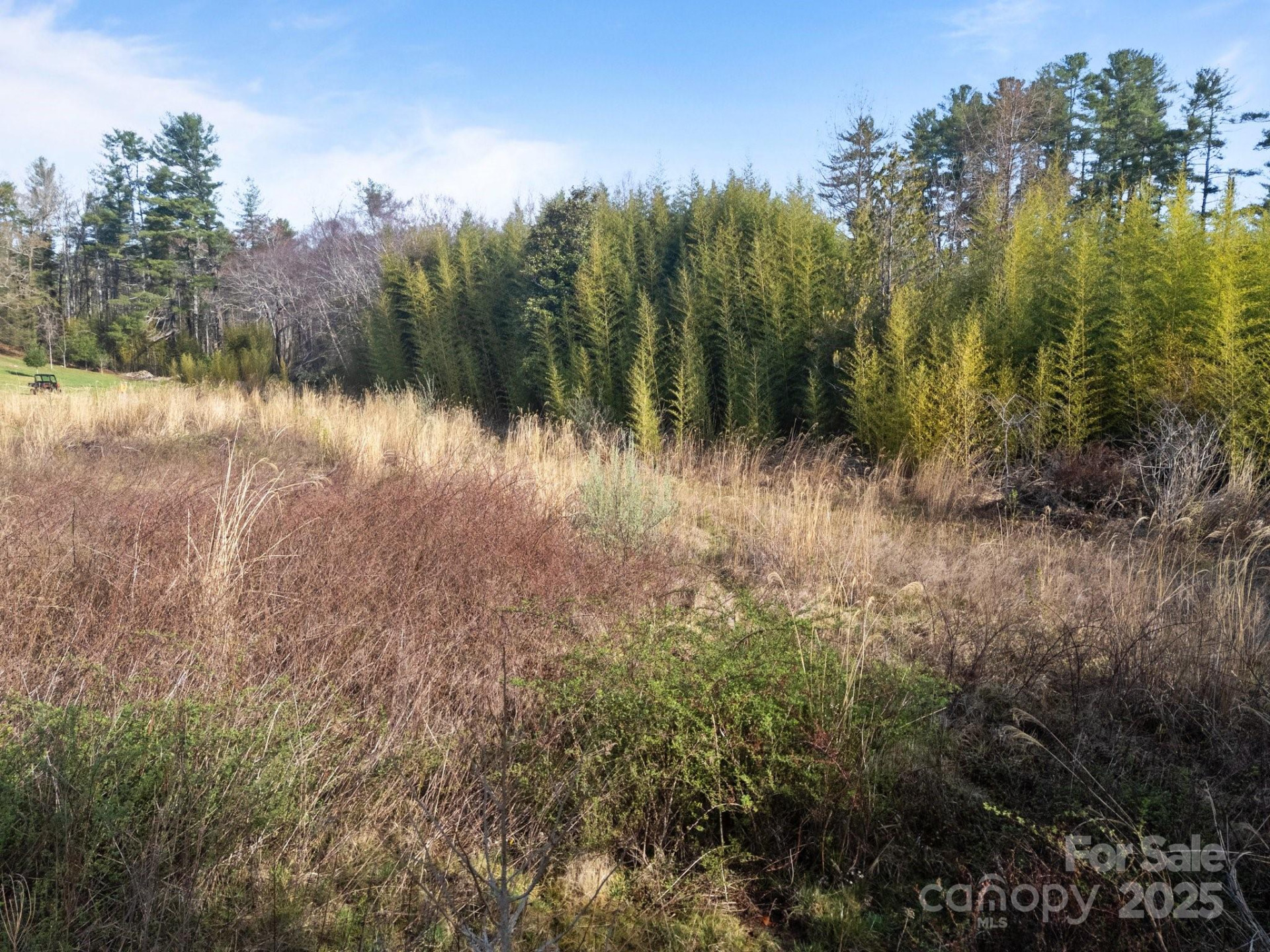 193 Montevilla Drive - Photo 12