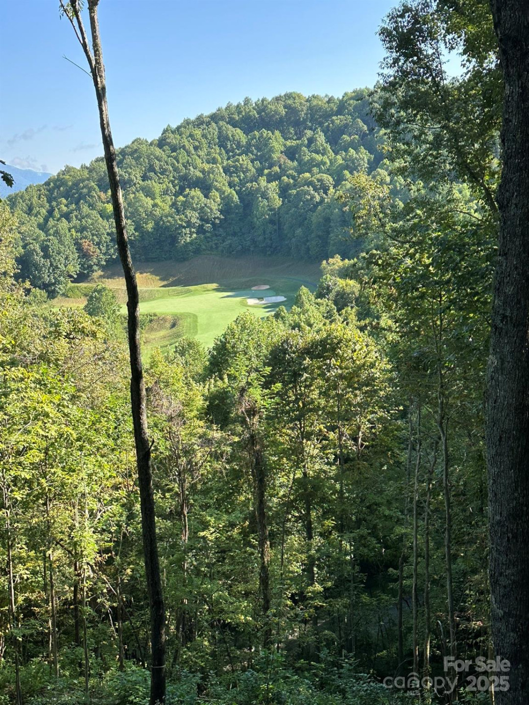 142 Old Growth Way #58 - Photo 2