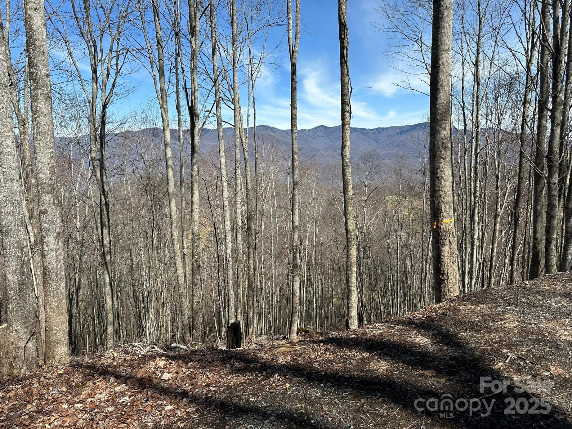 142 Old Growth Way #58 - Photo 11