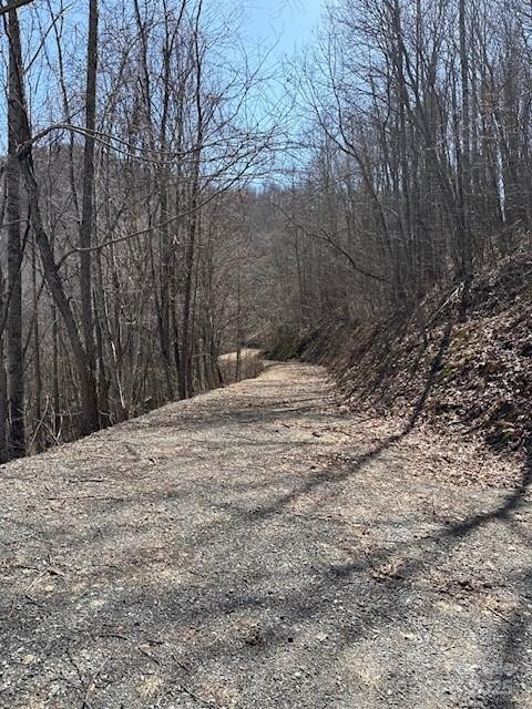 142 Old Growth Way #58 - Photo 13