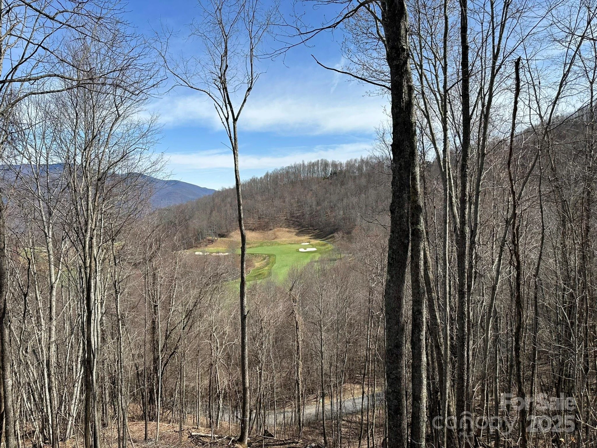 142 Old Growth Way #58 - Photo 14