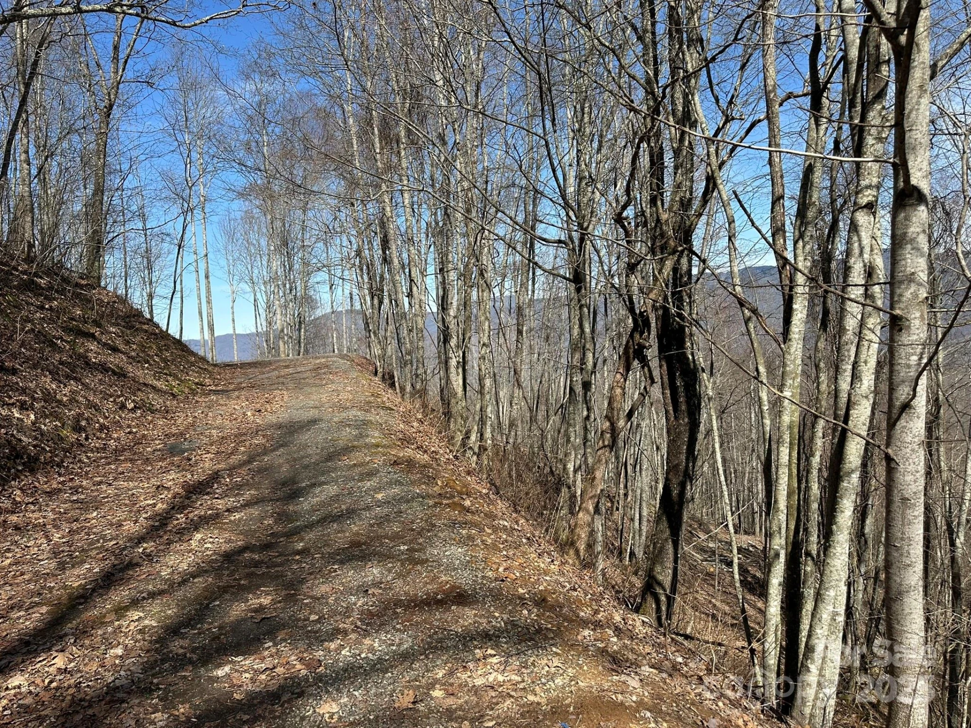 142 Old Growth Way #58 - Photo 15