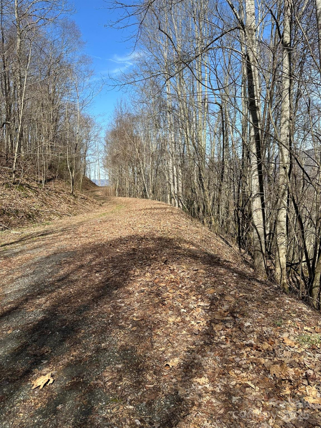 142 Old Growth Way #58 - Photo 16