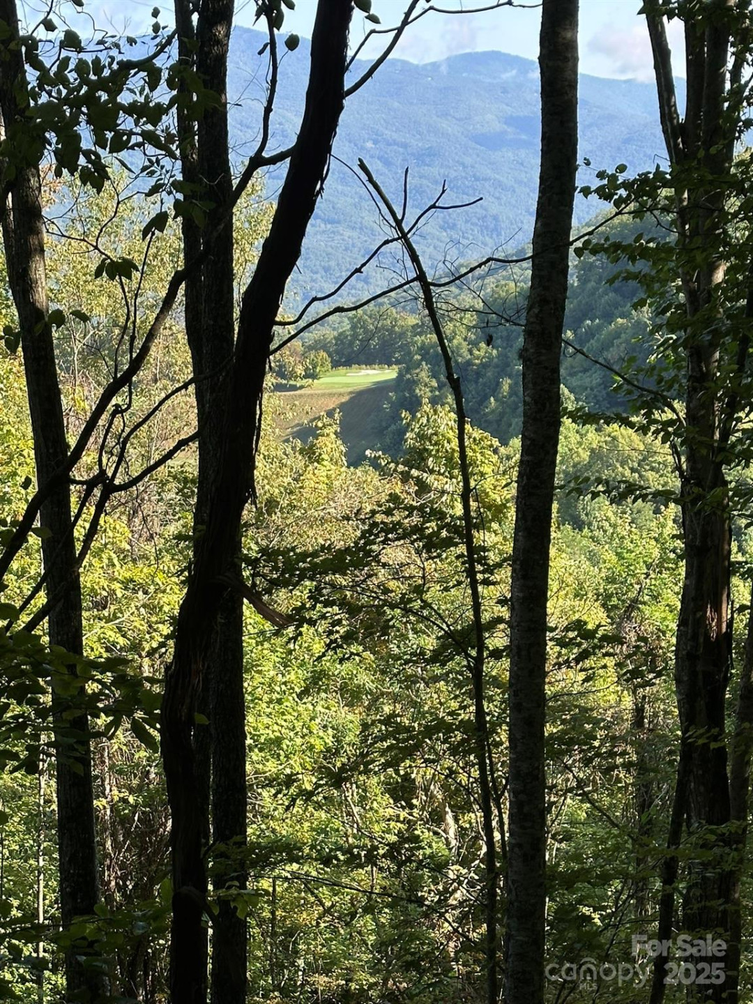 142 Old Growth Way #58 - Photo 3