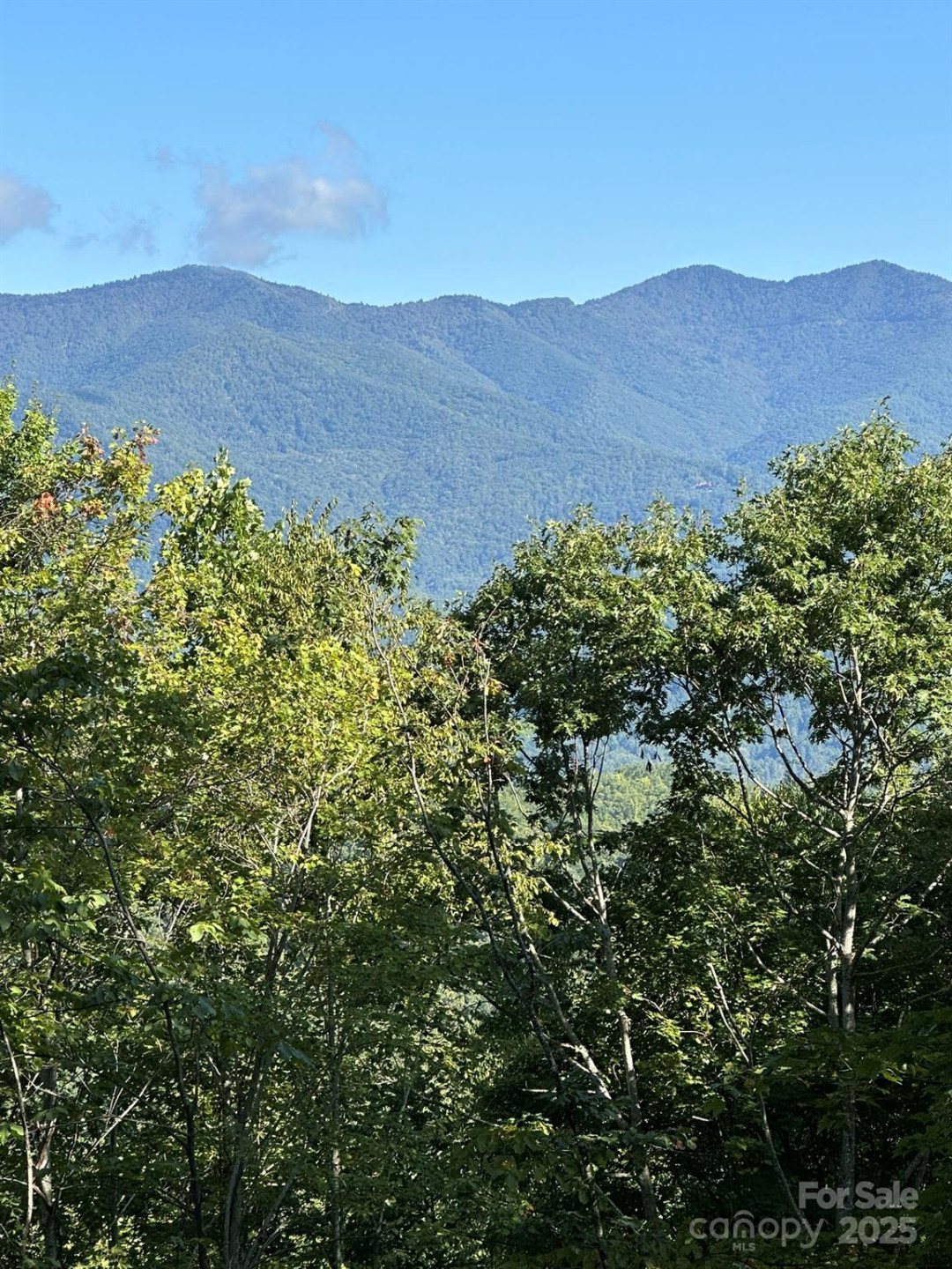 142 Old Growth Way #58 - Photo 4