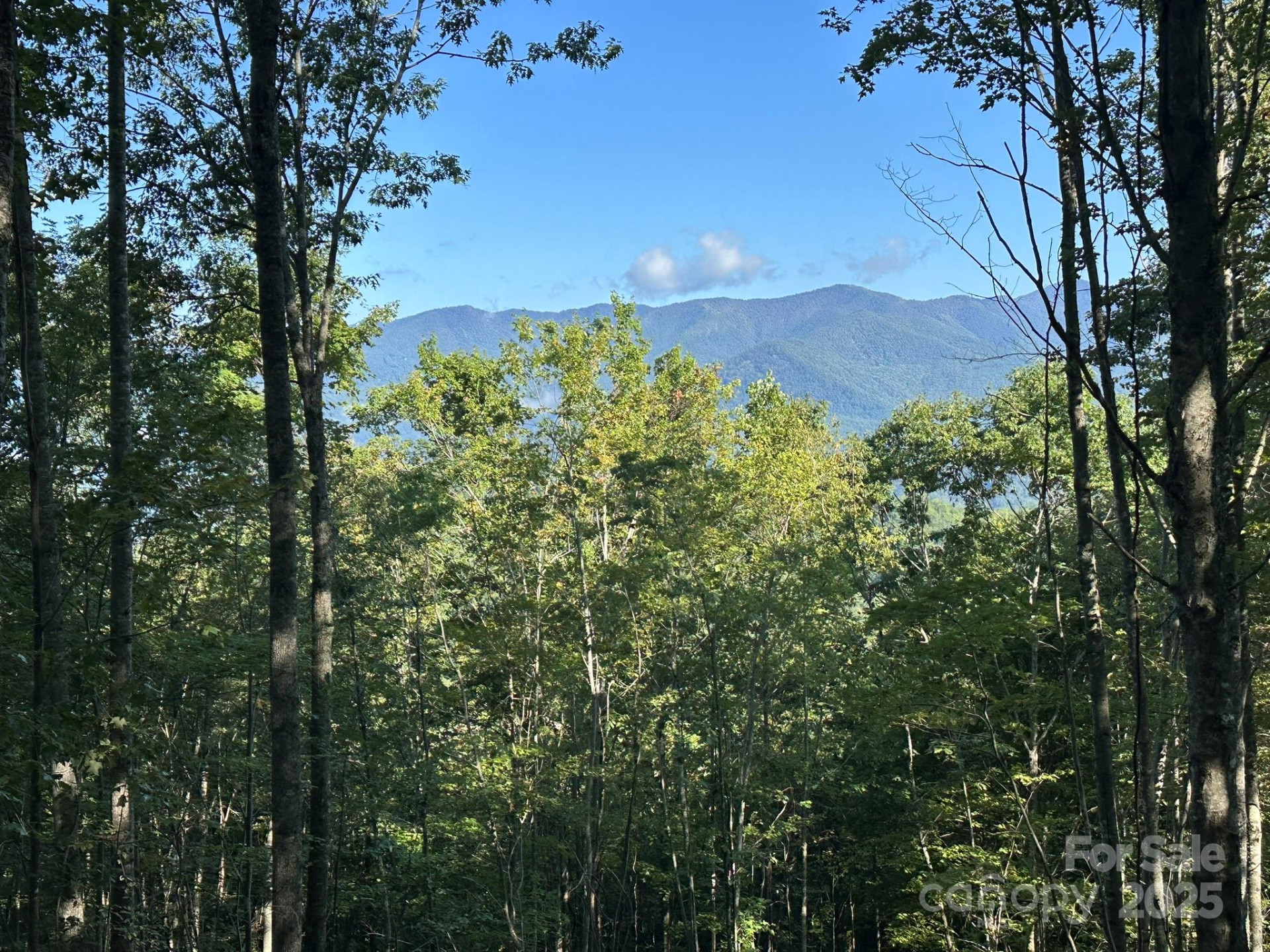 142 Old Growth Way #58 - Photo 5