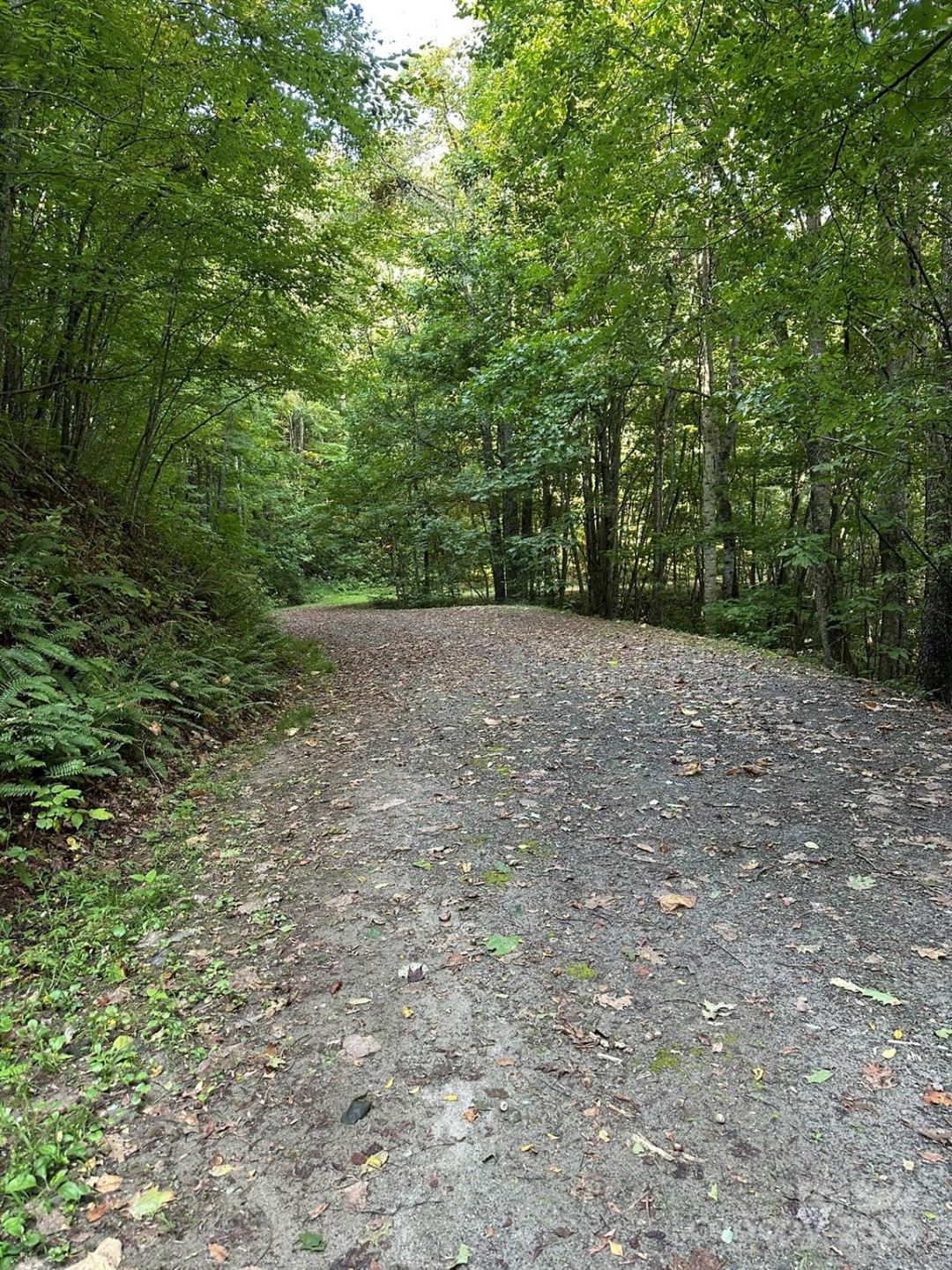 142 Old Growth Way #58 - Photo 7