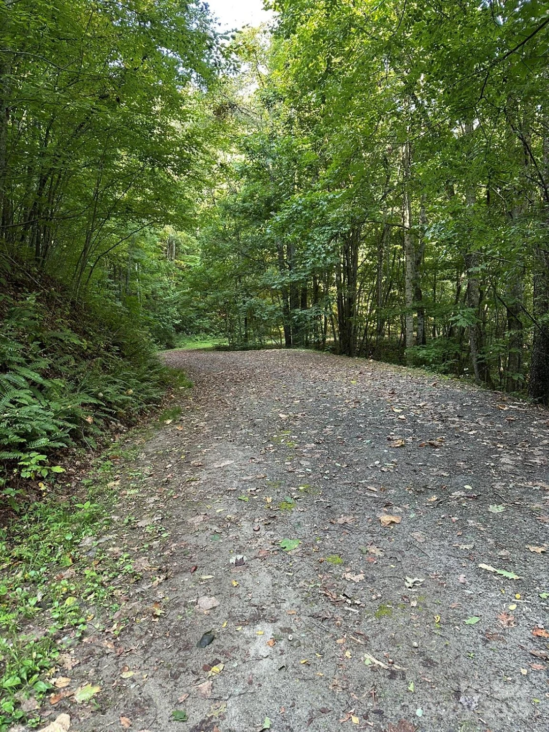 142 Old Growth Way #58 - Photo 7
